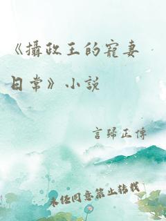 《摄政王的宠妻日常》小说