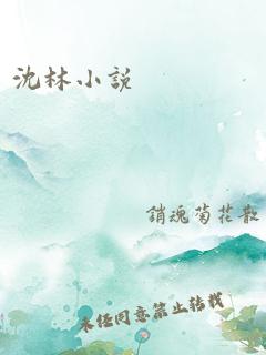 沈林小说