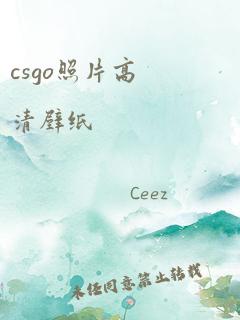 csgo照片高清壁纸