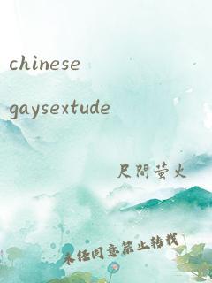 chinesegaysextude