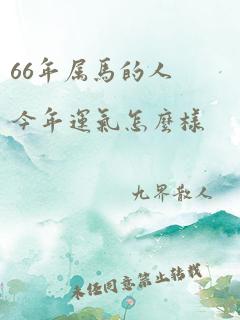 66年属马的人今年运气怎么样