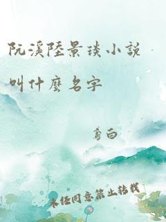 阮溪陆景琰小说叫什么名字