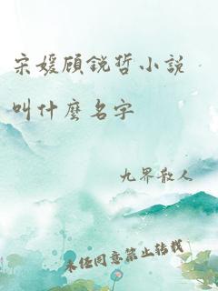 宋媛顾锐哲小说叫什么名字