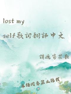 lost myself歌词翻译中文