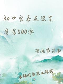 初中家长反思怎么写500字