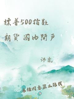 标普500指数期货 国内开户