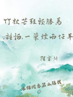 竹杖芒鞋轻胜马,谁怕,一蓑烟雨任平生点评