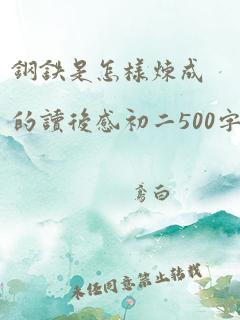 钢铁是怎样炼成的读后感初二500字