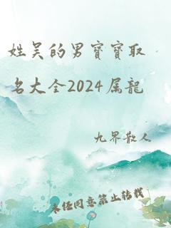 姓吴的男宝宝取名大全2024属龙