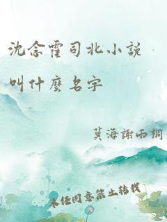 沈念霍司北小说叫什么名字