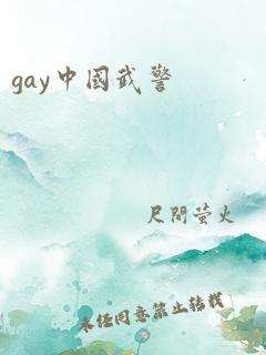 gay中国武警