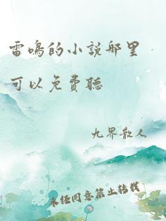 雷鸣的小说哪里可以免费听