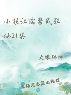 小说江瑞医武狂仙21集