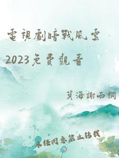 电视剧暗战风云2023免费观看