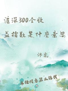 沪深300全收益指数是什么意思