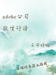 adobe公司股价行情