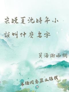 宋晓夏沈时年小说叫什么名字