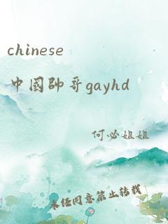 chinese中国帅哥gayhd