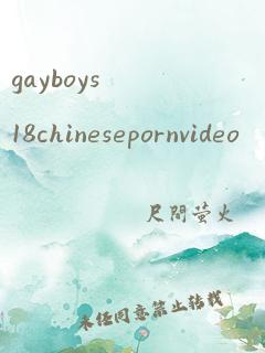 gayboys18chinesepornvideo