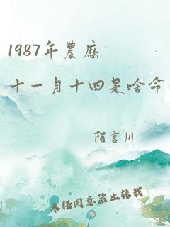 1987年农历十一月十四是啥命