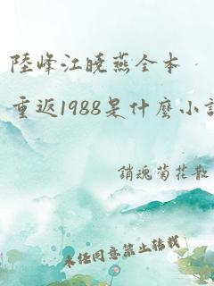 陆峰江晓燕全本重返1988是什么小说