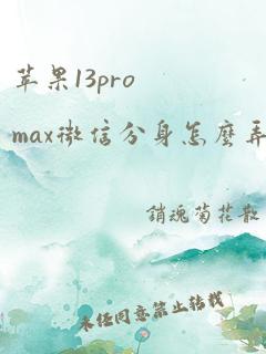 苹果13promax微信分身怎么弄