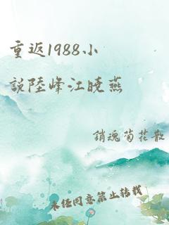 重返1988小说陆峰江晓燕