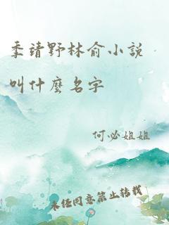 季靖野林俞小说叫什么名字