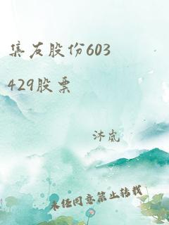 集友股份603429股票