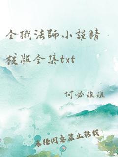 全职法师小说精校版全集txt