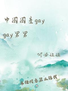 中国国产gaygay男男