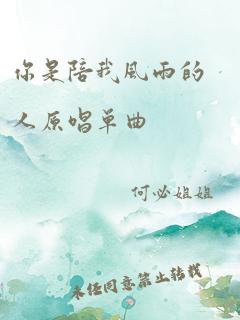 你是陪我风雨的人原唱单曲