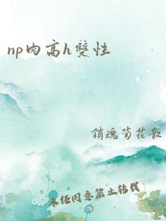 np肉高h双性