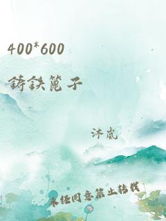 400*600铸铁篦子