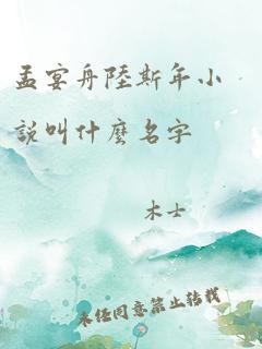 孟宴舟陆斯年小说叫什么名字