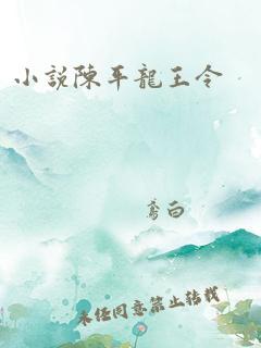 小说陈平龙王令