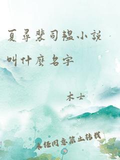 夏寻裴司韫小说叫什么名字