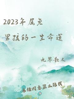 2023年属兔男孩的一生命运