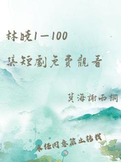 林晓1—100集短剧免费观看