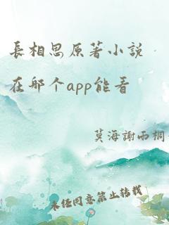 长相思原著小说在哪个app能看