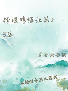 跨过鸭绿江第23集