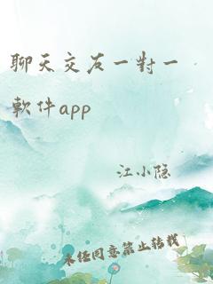 聊天交友一对一软件app