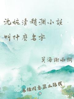 沈婉清赵渊小说叫什么名字