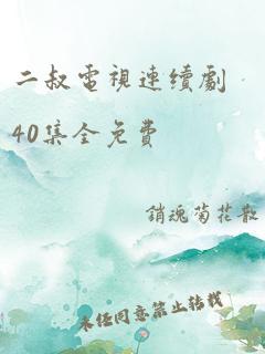 二叔电视连续剧40集全免费