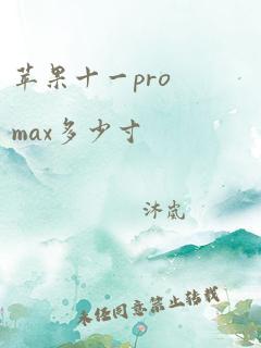 苹果十一promax多少寸