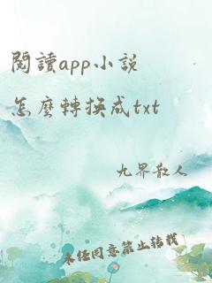 阅读app小说怎么转换成txt