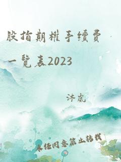 股指期权手续费一览表2023