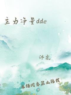 主力净量dde