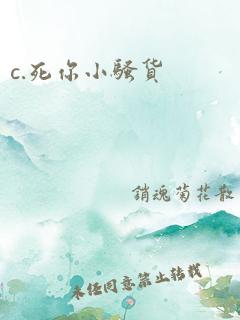 c.死你小骚货