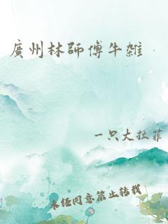 广州林师傅牛杂